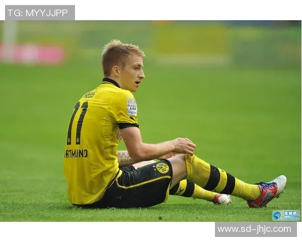 卡通足球明星罗伊斯的精彩瞬间与梦想之旅